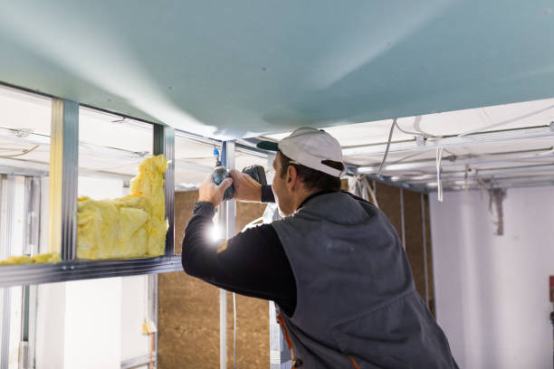 Best Insulation Installation Services in Winnsboro, LA